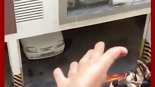 Bros rescuing a baby