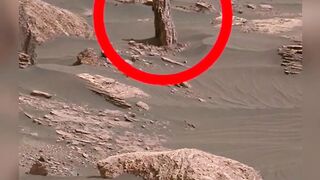Mysterious phenomena and formations on the surface of Mars