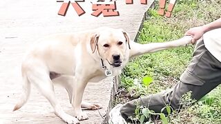 A very funny video.
