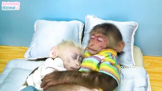 Chef BiBi harvests string beans to feed baby monkey Obi