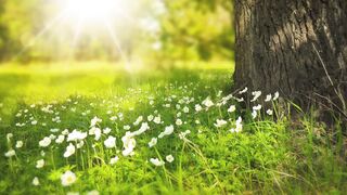 Amazing nature