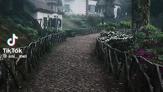 Foggy morning