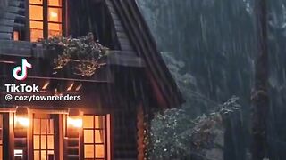 Stormy evening in the woods