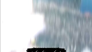 Cat video