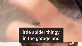 Physics with smartphone camera explains spider behavior