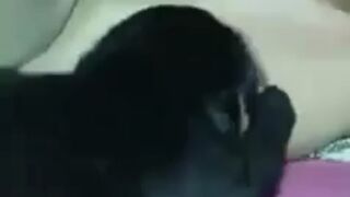 woman feeding 2 dogs milk from her breasts