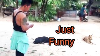 Just funny