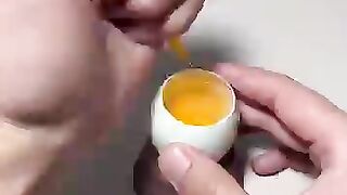 تجربة زراعة الدجاج