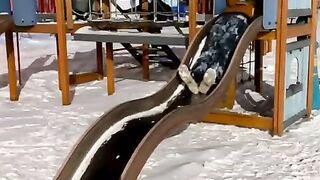 This video of them using this slide properly, wish I knew this 12-13 years ago when I was a kid.