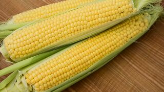 Slow air travel over a wide field of corn - adalinetv