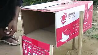 #wirldlife #fyp #snaketrap #foryoupage #traper #birdtrap #rattrap #foryou