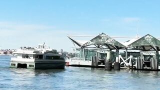 North cove marina