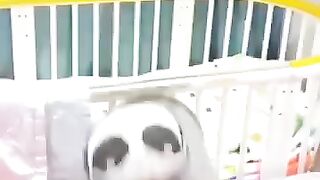 Entertainment and Finn