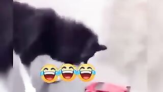 Khatam tata gud by ????