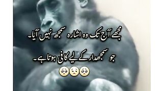 Samjhdr k elye ishra Kafi hai ????