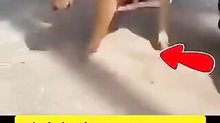 Bacha school ???? ni Jana Chahta ????????????