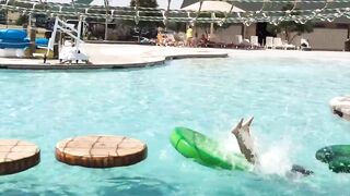 Biggest Belly Flop Ever?! | Funny Water Compilation
