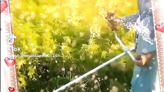 Farming video