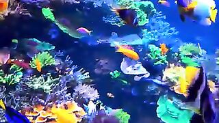 Sea world