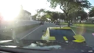 Craziest Ways Police Stopped Suspects - Caught on Dashcam