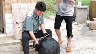 Bestt funny videos in china