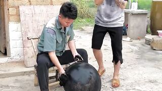 Bestt funny videos in china