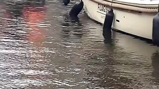 Another Titanic incident