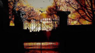 Top 10 Horror Movies