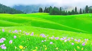 Natural video
