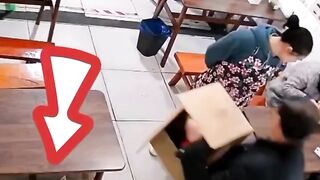 Cat ????????