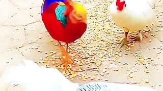 Very amazing video