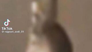 Health care ????????????????