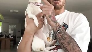 stitch con mreviatar mino is a dog very dangerous