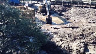 Alligator vs Excavator