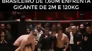 Os melhores
