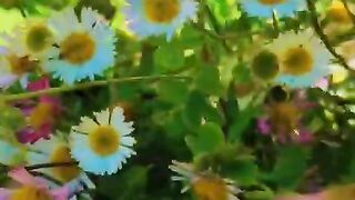 Beautiful flowers ???????????? with Good vibes