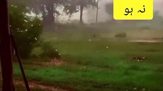 stormy rain