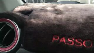 Home car parking learning