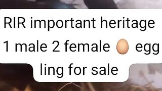 Information