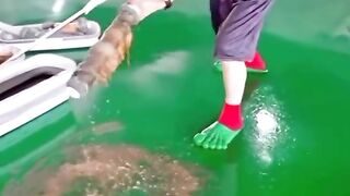 Watch till the end of this story