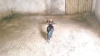 Bahut bad hay ll guna ka Kam hay ll bachatay raho