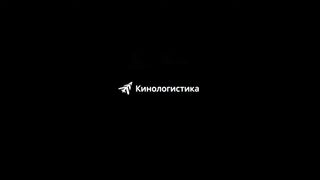 Мать Тереза — Русский трейлер