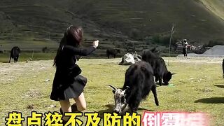 Funny video