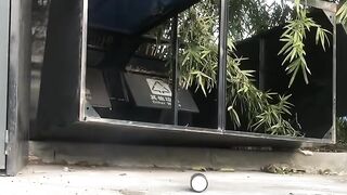 Funny video