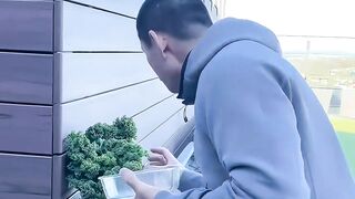 Funny video