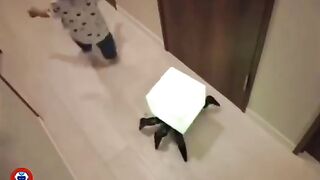 A Japanese engineer creates a night lamp that crawls and leads you to the toilet in the middle of the night.