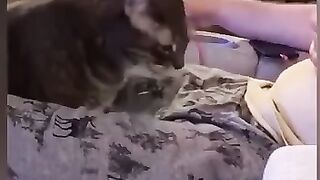 Try not to laugh 10❤️
