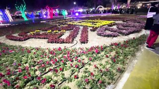 Flower Festival In Saihat Public Park | Qatif | Saudi Arabia