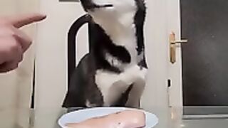 Reacción//suscríbete ????