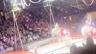 Circus